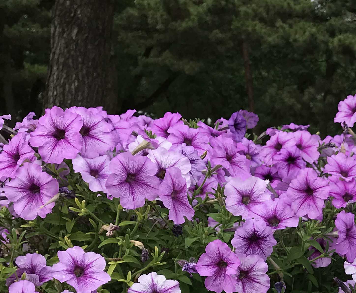 歲月長(zhǎng)歌！